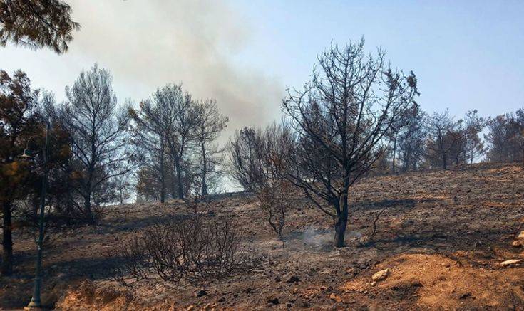 Υπό έλεγχο τέθηκε η μεγάλη φωτιά που ξέσπασε στη Λέρο