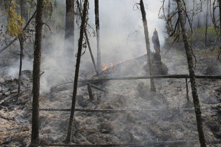Σιβηρία: Συνεχίζονται οι προσπάθειες για την κατάσβεση των δασικών πυρκαγιών