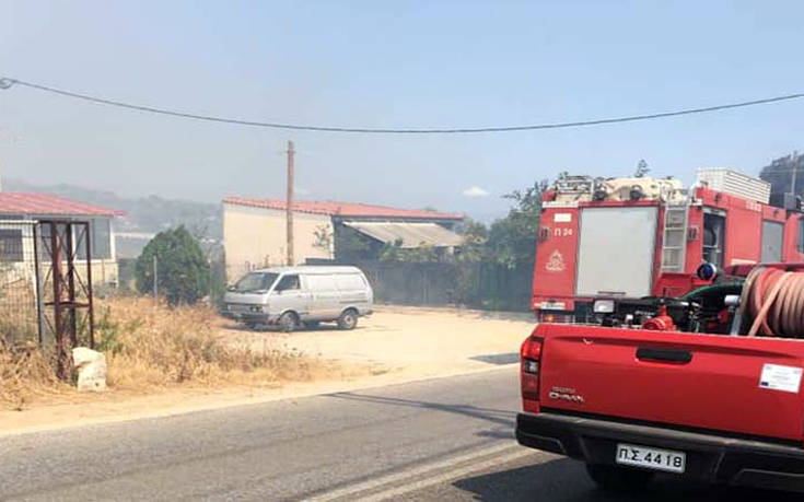 Φωτιά στην Αρτέμιδα: Η έκκληση της Πυροσβεστικής