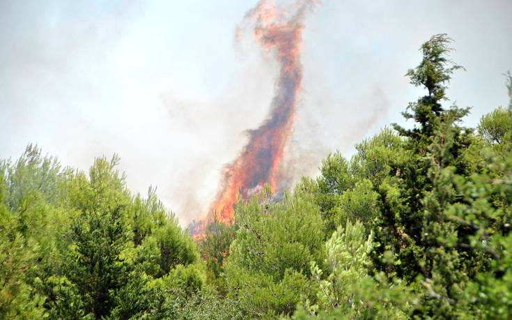 Μεγάλες πυρκαγιές σε Εύβοια και Αργολίδα