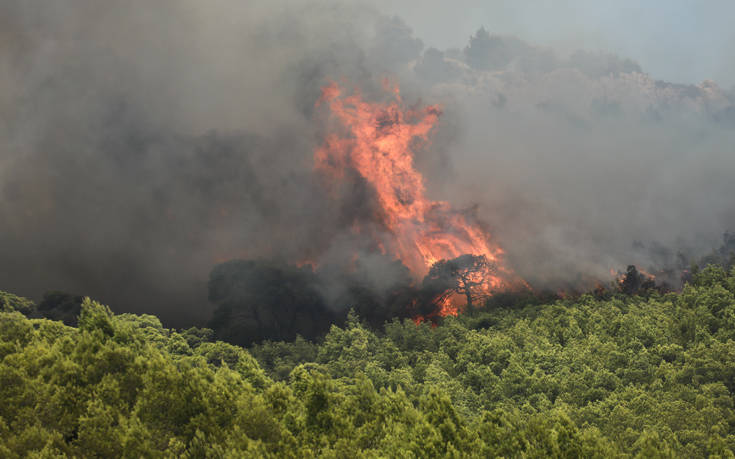 Φωτιά ξέσπασε στο Αγιονόρι Κορινθίας