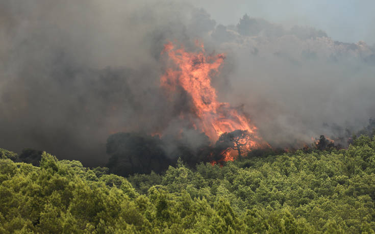 Φωτιά τώρα στην Κορινθία