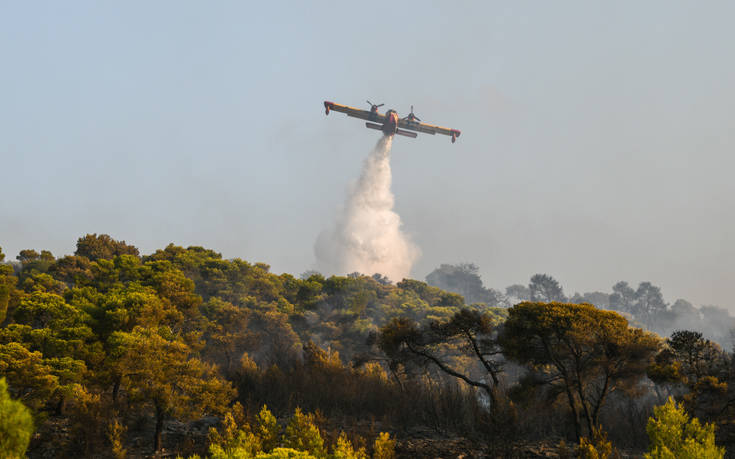 Μεγάλη φωτιά τώρα στην Ανδρίτσαινα