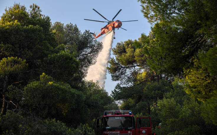 Μεγάλη φωτιά στη Νέα Μάκρη: Σε ύφεση το μέτωπο, υπόνοιες για εμπρησμό