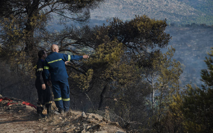 Περιφέρεια Αττικής: Άμεση ανταπόκριση στην αντιμετώπιση της φωτιάς στη Νέα Μάκρη