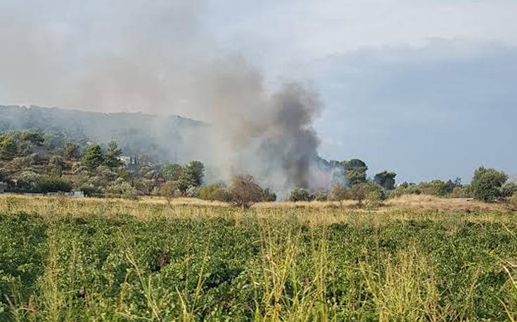 Φωτιά στην Παιανία τέθηκε υπό έλεγχο από την Πυροσβεστική