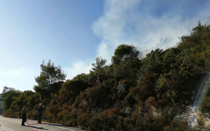 Υπό μερικό έλεγχο η φωτιά στη Ζάκυνθο: Μέλισσες επιτέθηκαν σε πυροσβέστες