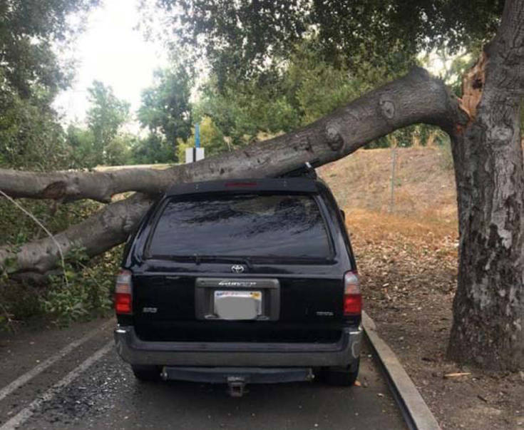 Σίγουρα έχουν δει και καλύτερες μέρες