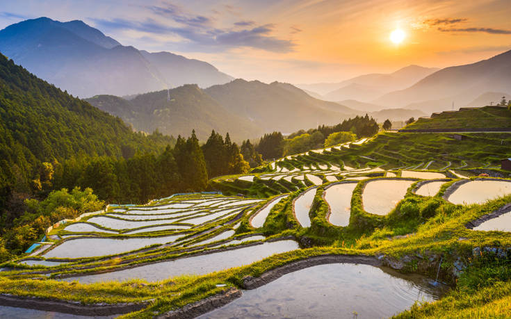 Εκπληκτικό φωτογραφικό κολάζ από τις πεδιάδες ρυζιού στην Ιαπωνία
