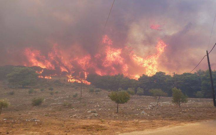 Φωτιά τώρα στην Κνωσό – Στην περιοχή υπάρχουν διάσπαρτα σπίτια