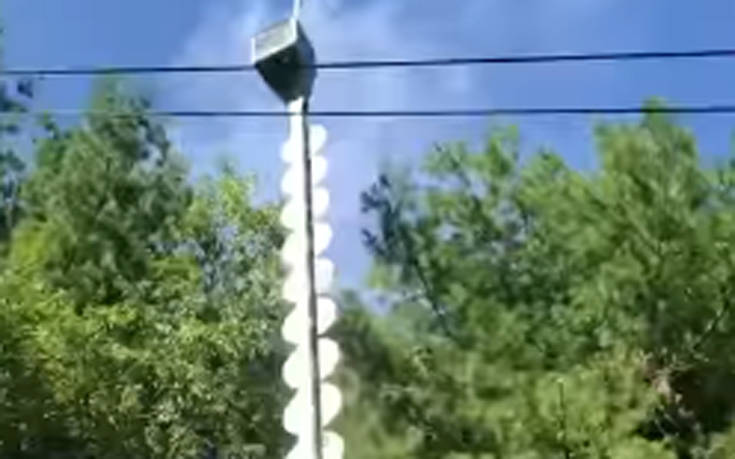 Γιγάντιο πριόνι κόβει τα κλαδιά δίπλα από καλώδια ηλεκτρισμού