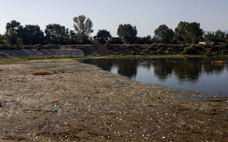 Τέλος στο θρίλερ με τα οστά στον Πηνειό