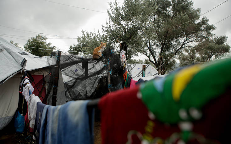 Προσφυγικό: Διακόπτει κάθε συνεργασία με την κυβέρνηση η περιφέρεια Βορείου Αιγαίου