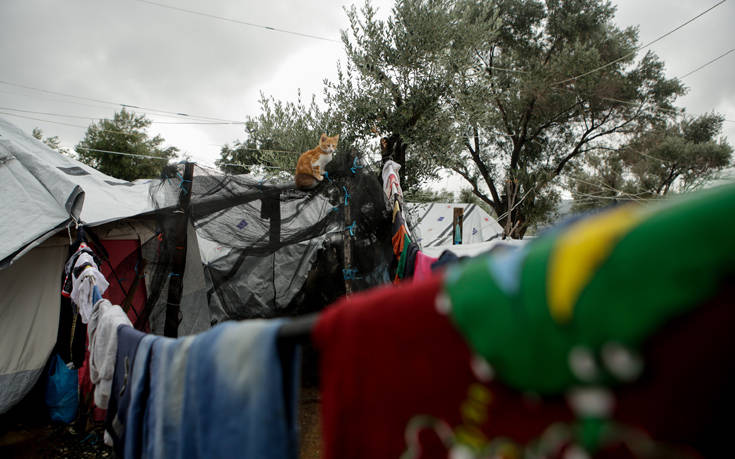 Αντιδράσεις για τη δημιουργία κλειστής δομής στη Λέσβο