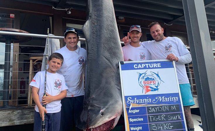 Οκτάχρονος πήγε για ψάρεμα με τον πατέρα του και γύρισε με καρχαρία-τίγρη 314 κιλών