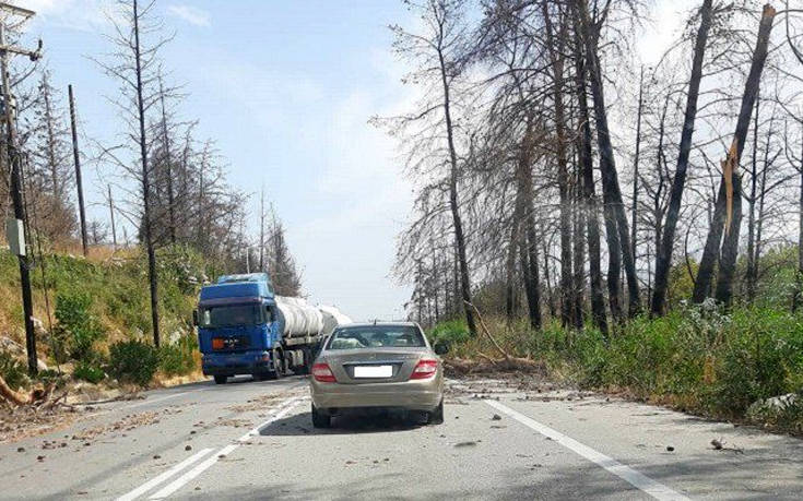 Καιρός: Δυνατοί άνεμοι έριξαν δέντρα πάνω σε αυτοκίνητα στην Κρήτη