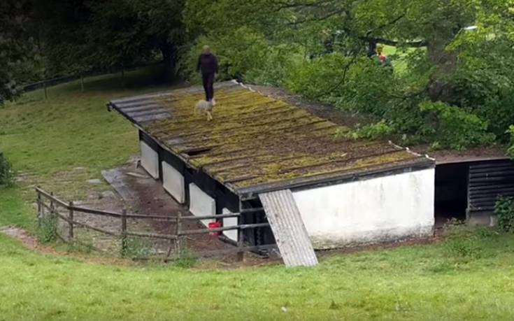 Βιντεάκια που δε δυσκολεύτηκαν να γίνουν viral