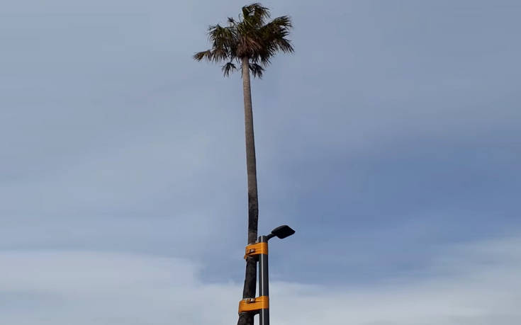 Ο&#8230; αιωρούμενος φοίνικας