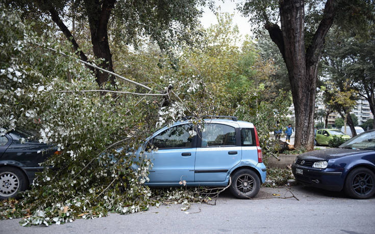 Οι ισχυροί άνεμοι έριξαν δέντρα στη Θεσσαλονίκη, πού είναι κλειστά τα σχολεία