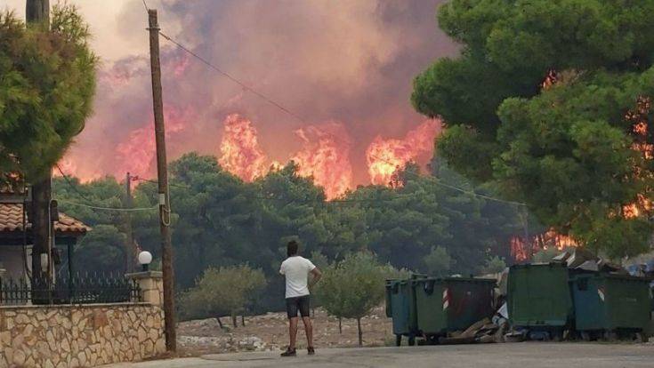 Ο τραγικός απολογισμός από τις 83 πυρκαγιές στην Ζάκυνθο