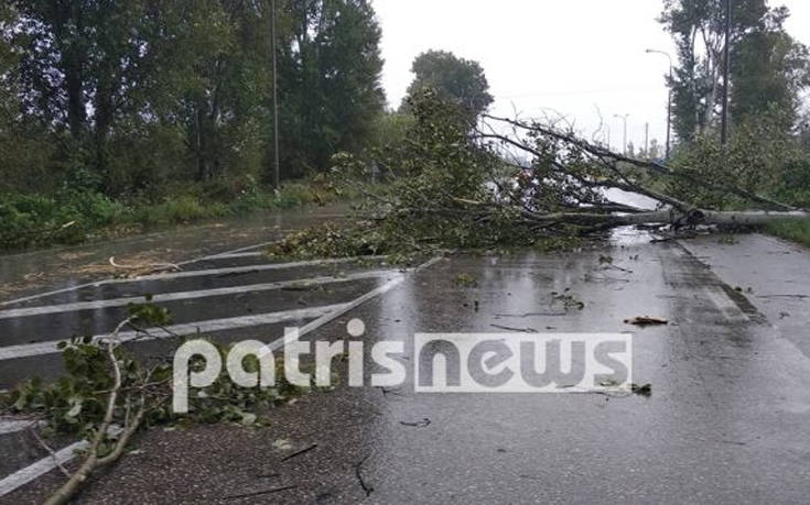 Σφοδρή νεροποντή στην Ηλεία: Προβλήματα στους δρόμους, πτώσεις δέντρων στην Εθνική Οδό