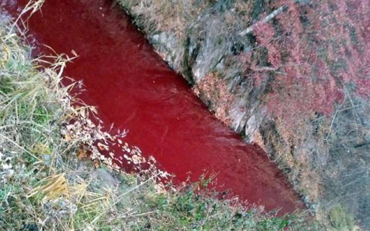 Ποταμός στη Νότια Κορέα βάφτηκε κόκκινος από αίμα χοίρων