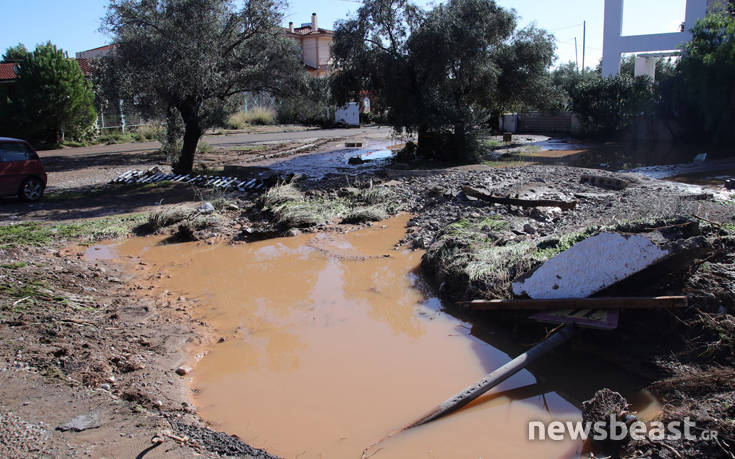 Τι λέει ο Ευθύμης Λέκκας για τα αίτια της καταστροφής στην Κινέτα