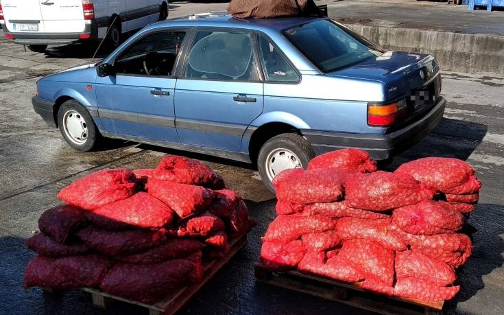 Πάνω από 800 κιλά ακατάλληλων οστρακοειδών κατασχέθηκαν στην Καβάλα