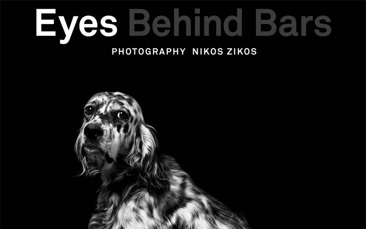 Eyes behind bars: Μία έκθεση φωτογραφίας αφιερωμένη στα αδέσποτα της Ελλάδας