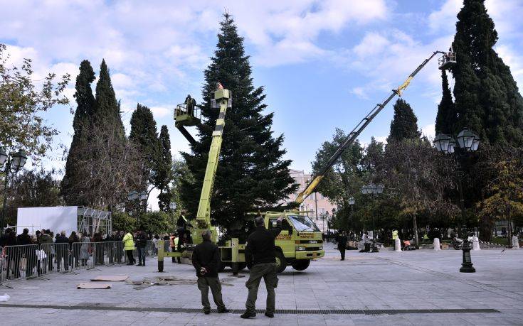Σε ρυθμούς εορτών η Αθήνα: Στο Σύνταγμα το χριστουγεννιάτικο δέντρο