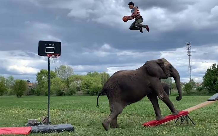 Τα 137 πιο εντυπωσιακά βιντεάκια του 2019 σε 4 λεπτά