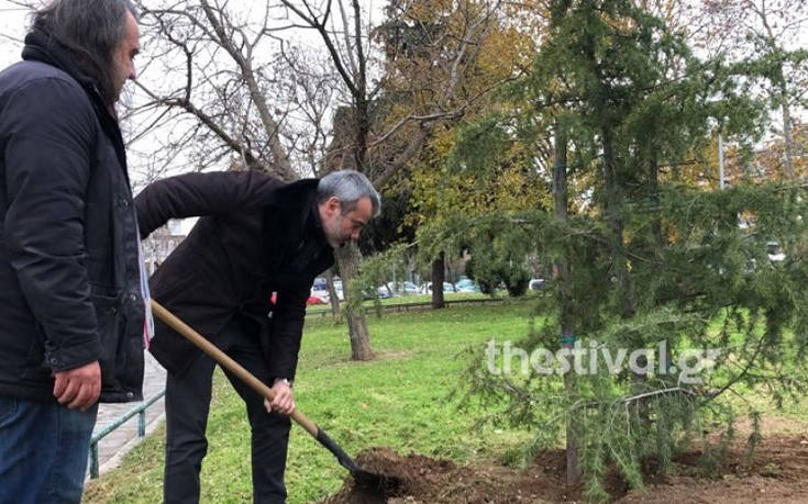 Ο Κωνσταντίνος Ζέρβας φύτευσε έναν κέδρο για το 2020