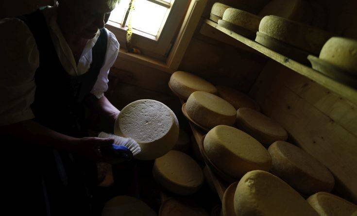 Πήγαν στο δικαστήριο γιατί της μύριζε άσχημα το… τυρί