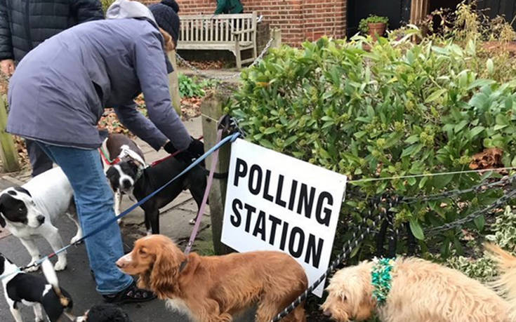 Εκλογές στη Βρετανία: Μαζική προσέλευση&#8230; σκύλων στα εκλογικά κέντρα