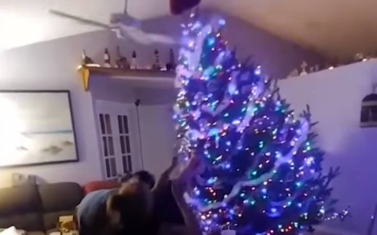 Xριστουγεννιάτικα δέντρα και άτυχες στιγμές