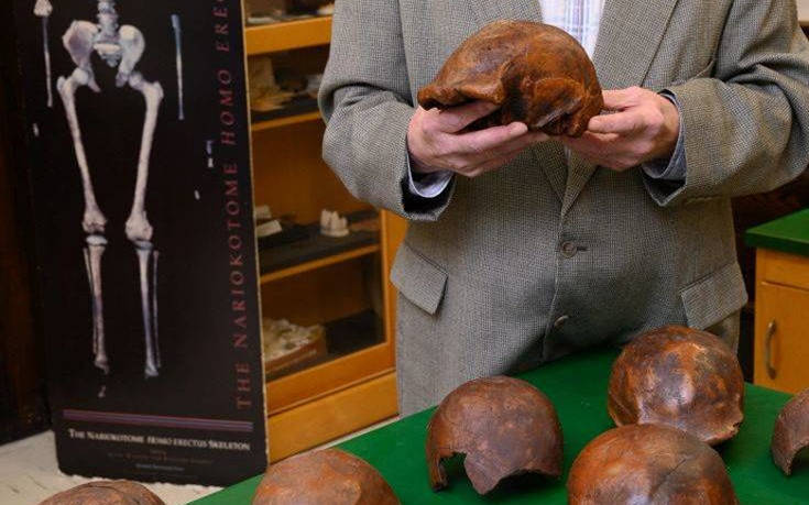 Ηλικίας 110.000 ετών τα τελευταία απολιθώματα του Homo erectus