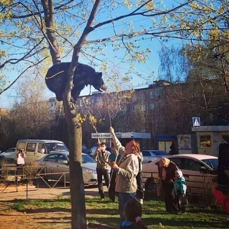 Ρωσικές… πρωτοτυπίες