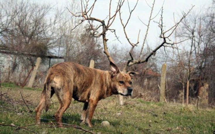 Φωτογραφίες που χρειάζονται μια δεύτερη ματιά