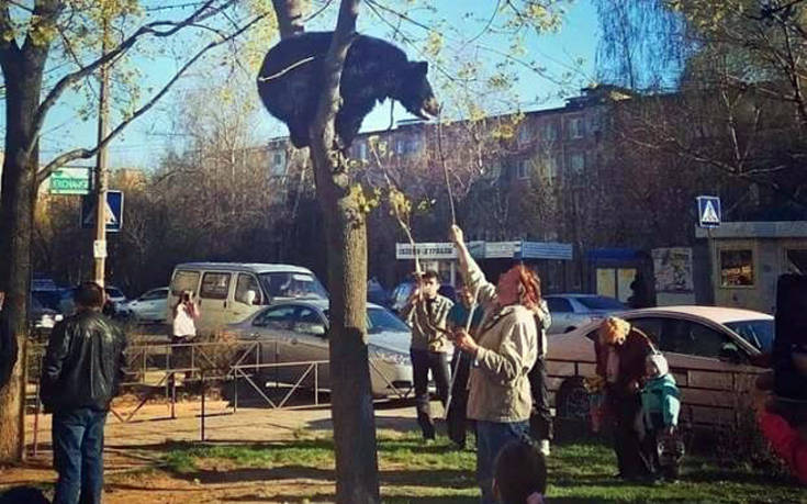 Η πάντα γεμάτη εκπλήξεις Ρωσία