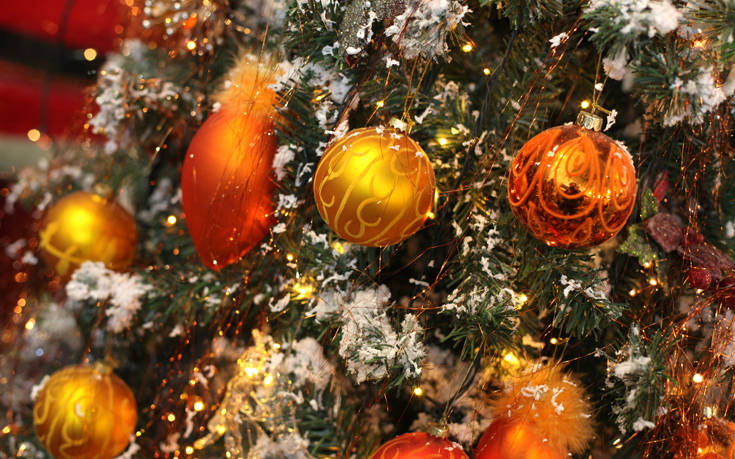 Θεσσαλονίκη: Αντίστροφη μέτρηση για την ανακύκλωση των φυσικών χριστουγεννιάτικων δέντρων