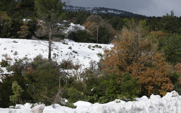 Ο καιρός σήμερα