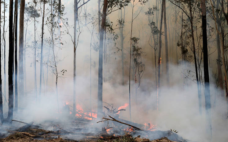 Ακραίος κίνδυνος πυρκαγιάς σήμερα: Οι περιοχές που έχει σημάνει συναγερμός