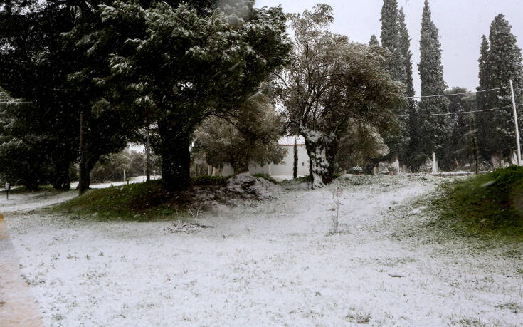 Σε κατάσταση έκτακτης ανάγκης ο δήμος Ωρωπού