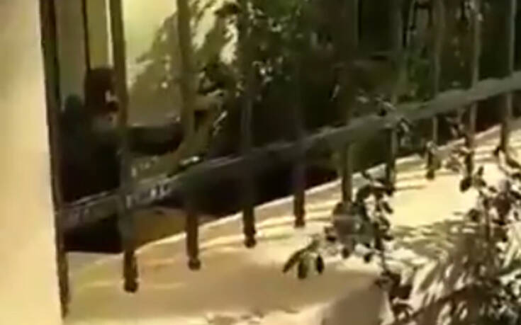Αντιδράσεις για τον ειδικό φρουρό στην ΑΣΟΕΕ – Ντούμας: «Ευτυχώς προέταξε το όπλο του»
