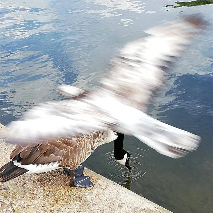 gdih10 | Lamianow.gr