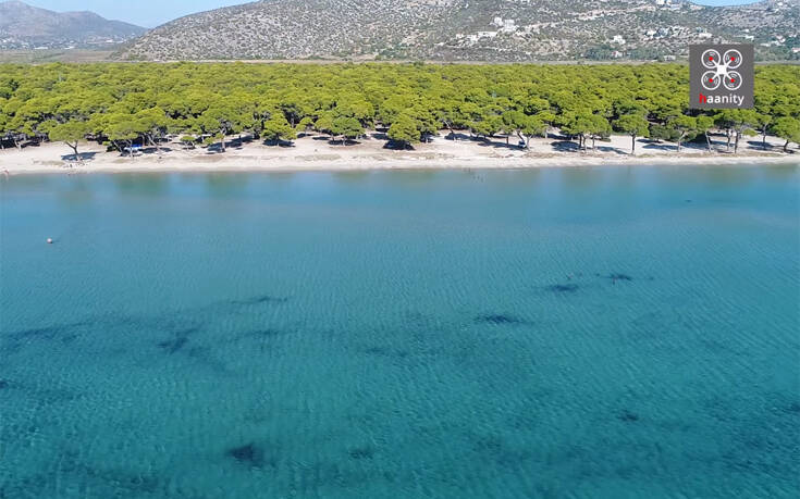 Μία από τις μεγαλύτερες παραλίες της Αττικής βρίσκεται 50 λεπτά από το κέντρο της Αθήνας