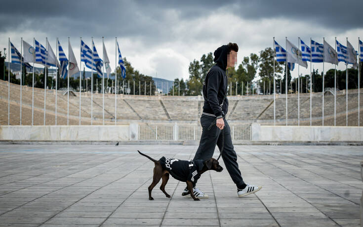 Απαγόρευση κυκλοφορίας: Τι πρέπει να γράφει το SMS στο 13033