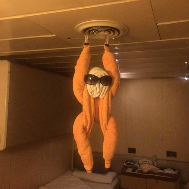 Όταν το δίπλωμα της πετσέτας γίνεται τέχνη