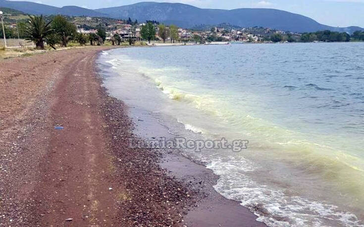 Ο Μαλιακός κιτρίνισε και αυτός είναι ο λόγος