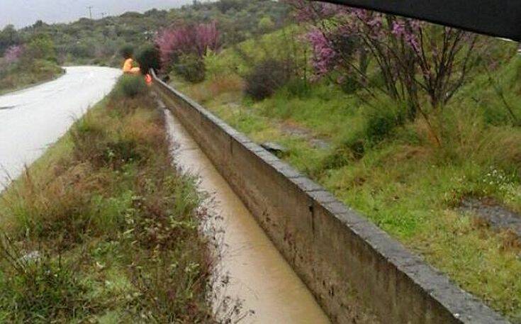 Φθιώτιδα: Πυροσβέστες έσωσαν από πνιγμό δύο αδέσποτα σκυλιά